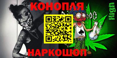 Альфа ПВП Ставрополь