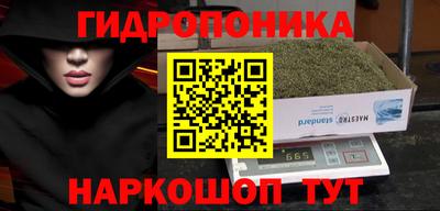 Альфа ПВП Ставрополь