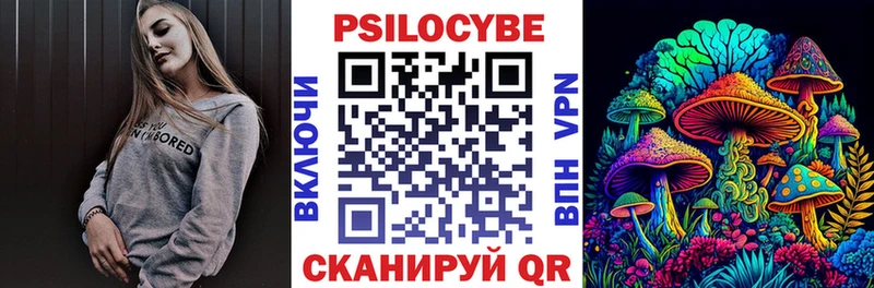 дарнет шоп  Улан-Удэ  Галлюциногенные грибы Psilocybe 