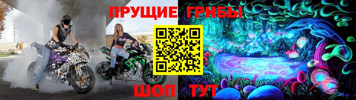 Галлюциногенные грибы GOLDEN TEACHER  Вход с VPN  Улан-Удэ  Галлюциногенные грибы мицелий 