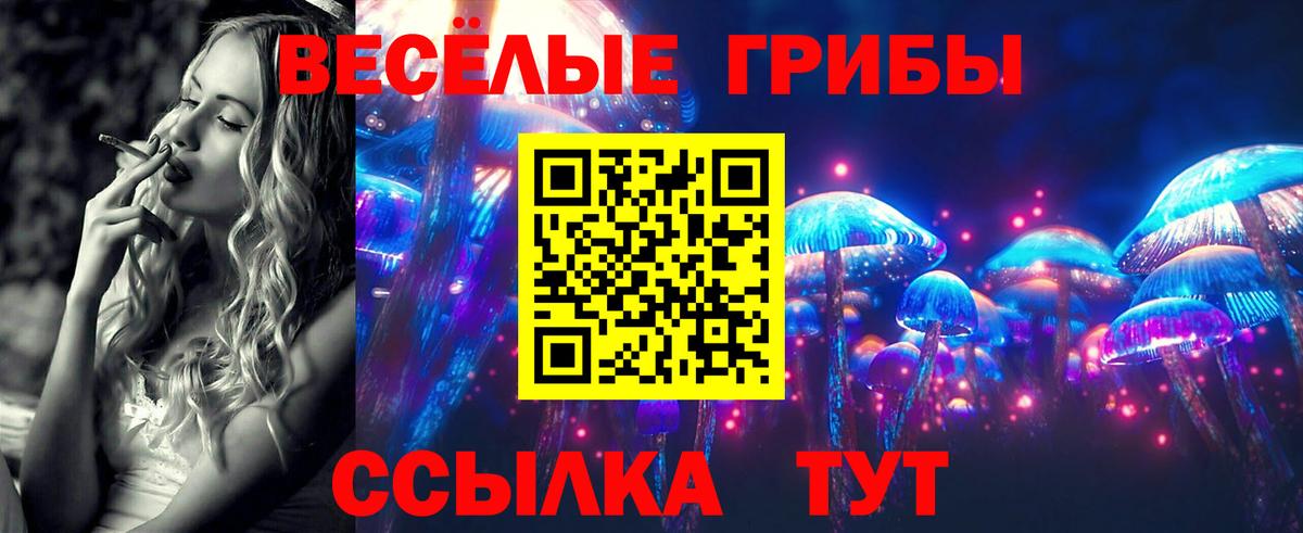 Галлюциногенные грибы GOLDEN TEACHER Улан-Удэ